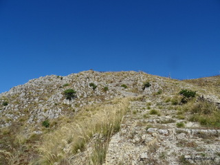 nte Venere-30-07-2020 09